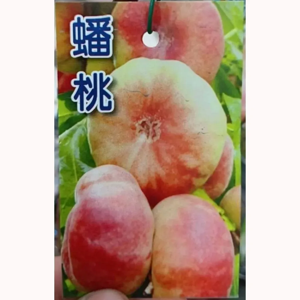 蟠桃
