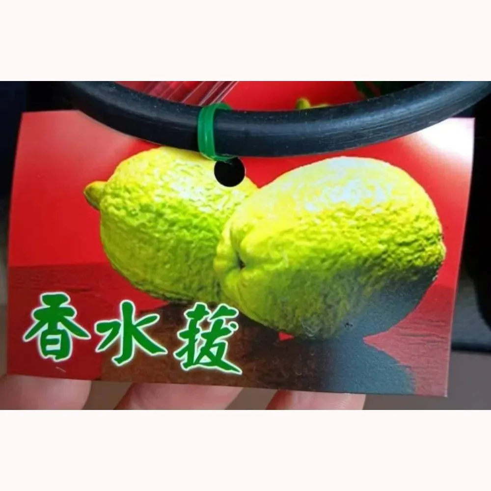 香水拔