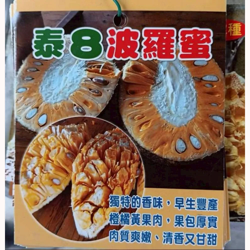 泰八波羅蜜