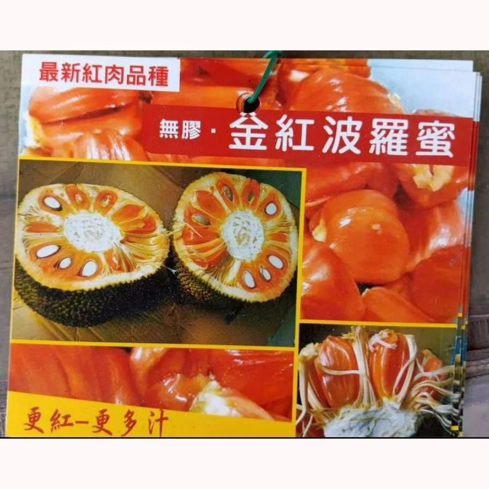 金紅波羅蜜