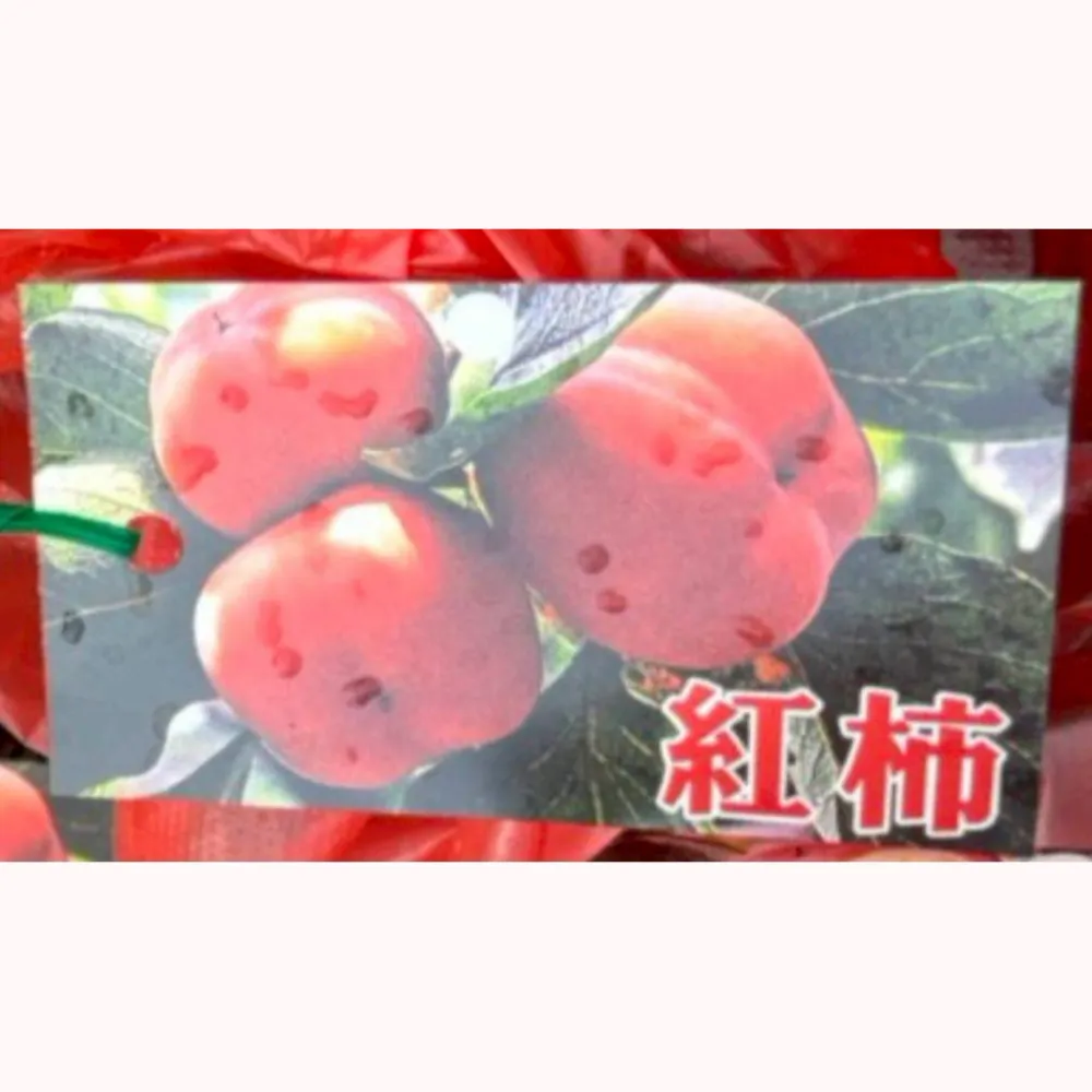 紅柿