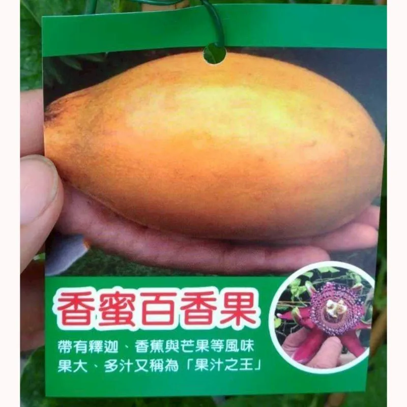 香蜜百香果