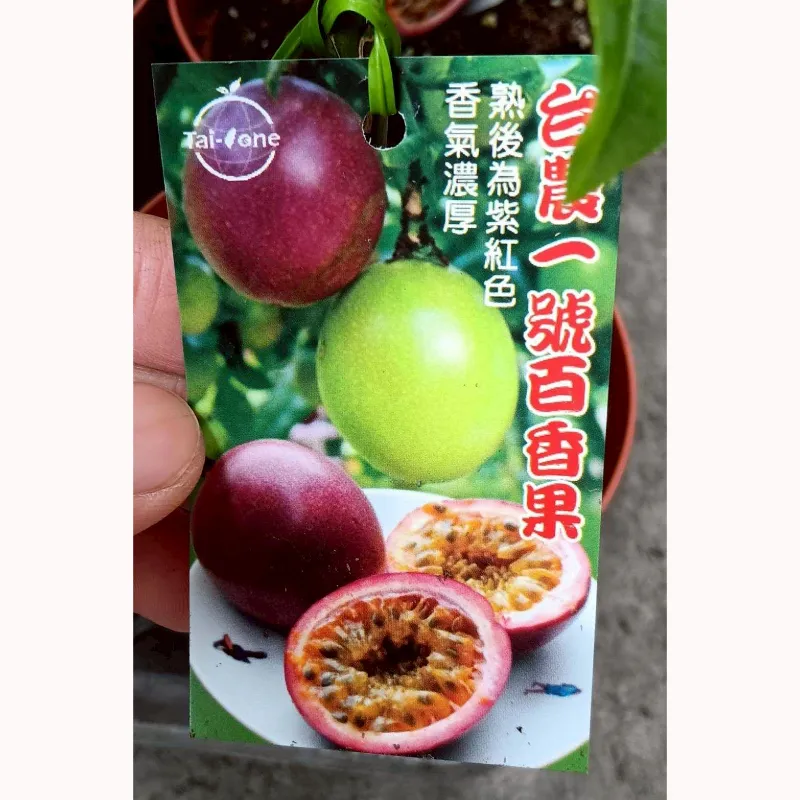 台農一號百香果