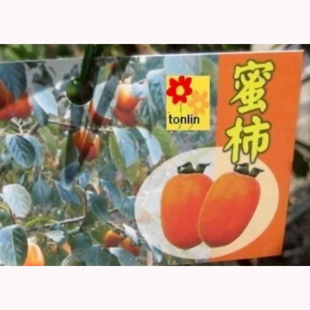筆柿