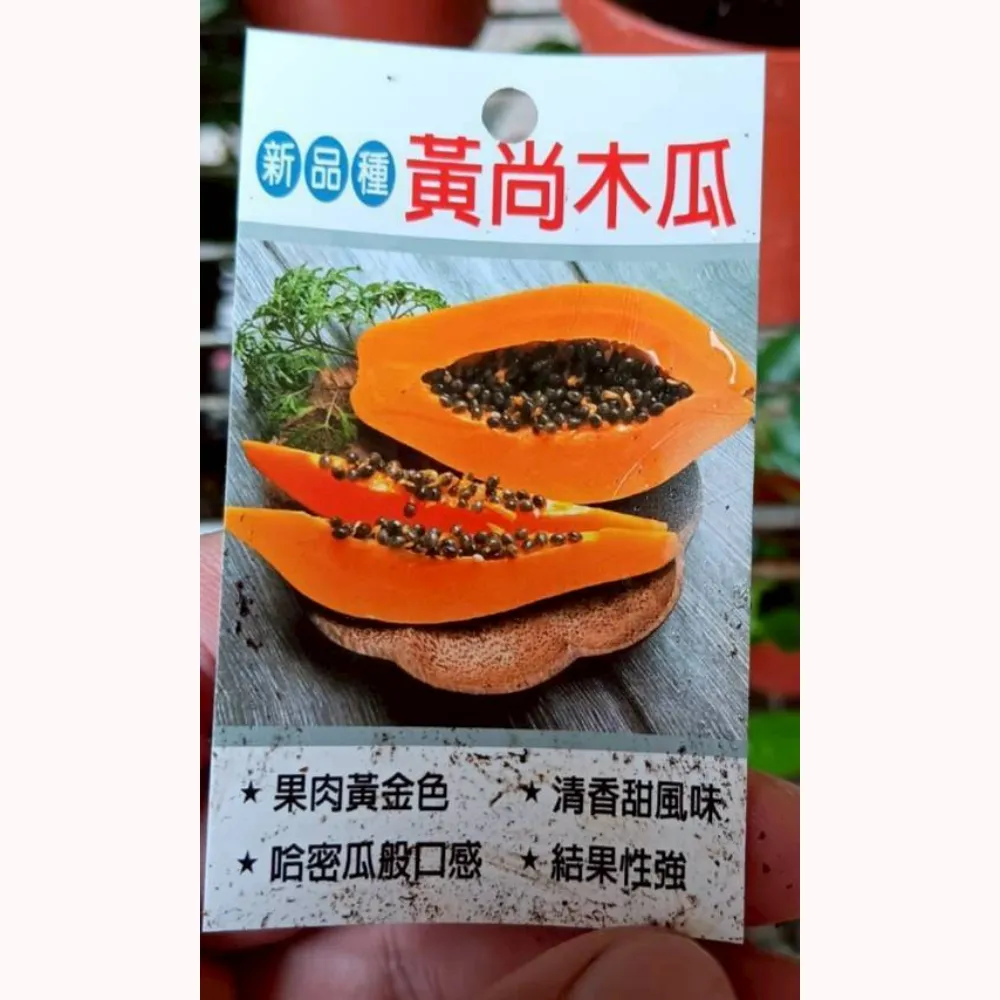 黃尚木瓜