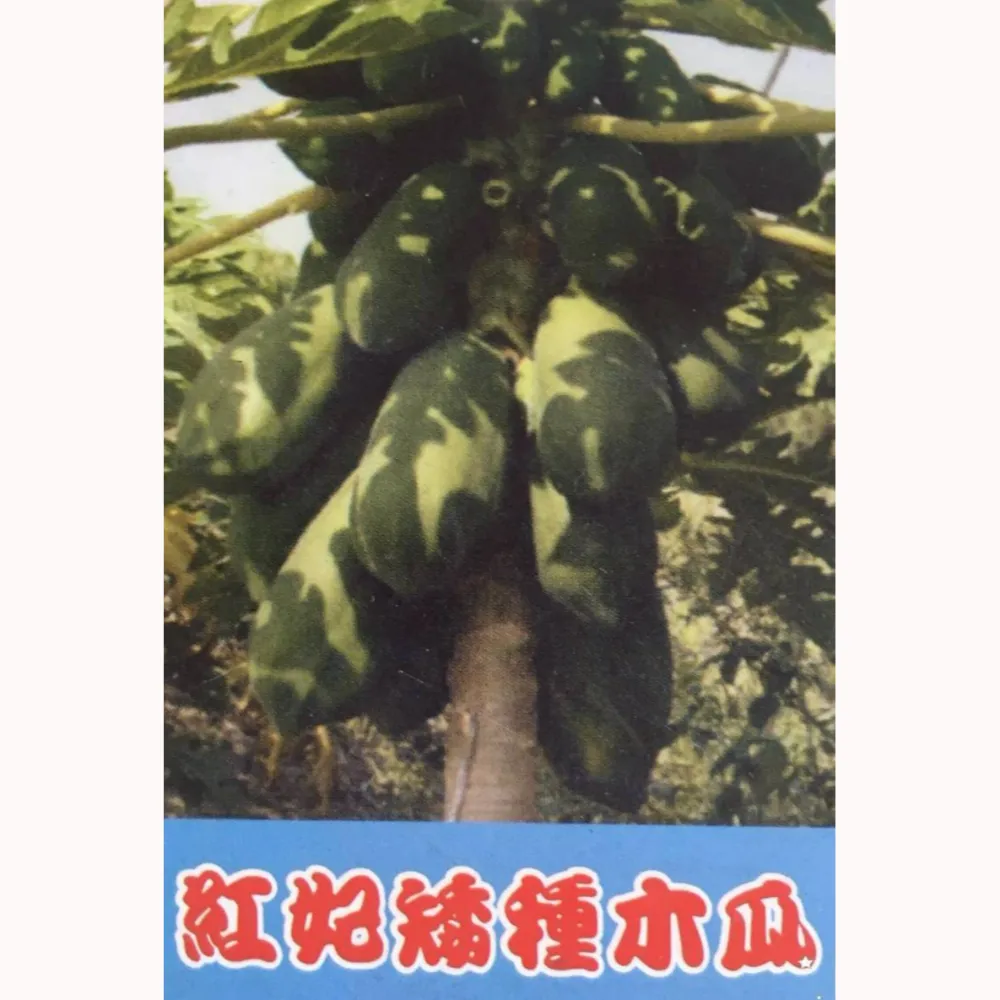 紅妃木瓜