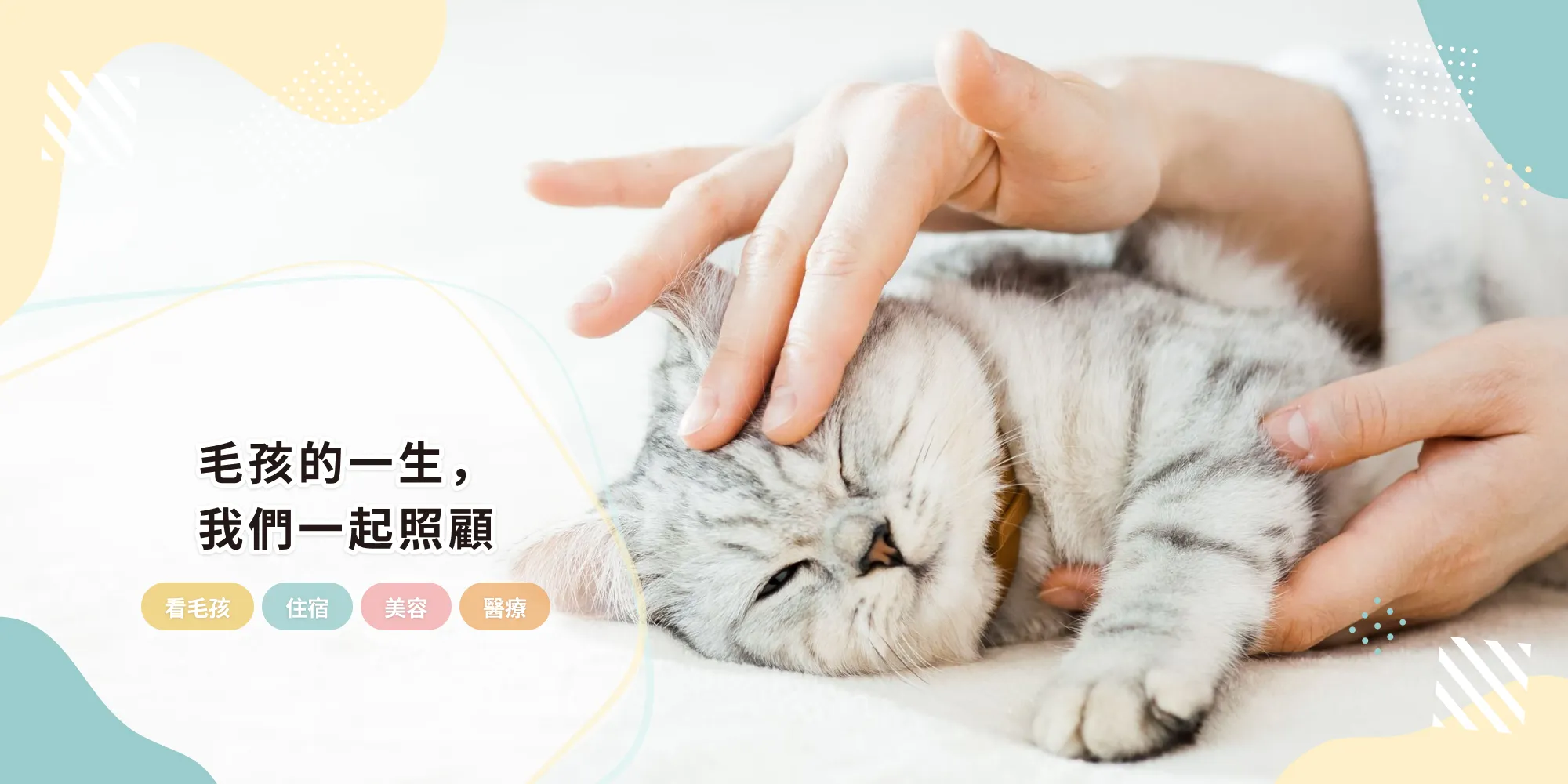 中圓寵物家族