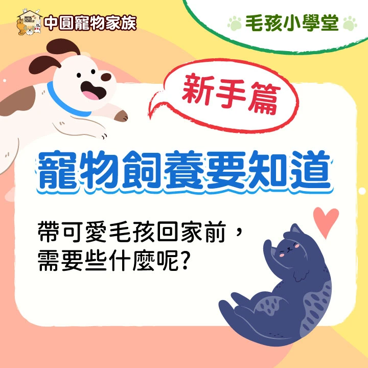 新手爸媽，第一次帶寵物要注意那些事情！？