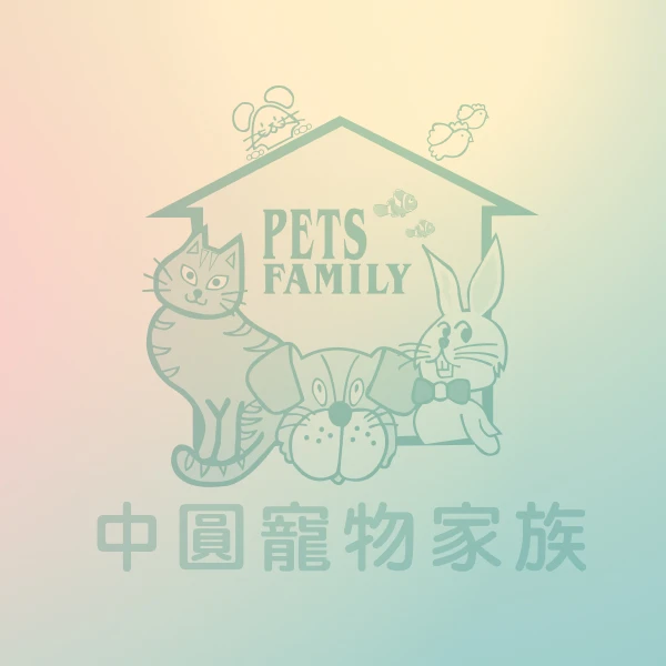 建置中3