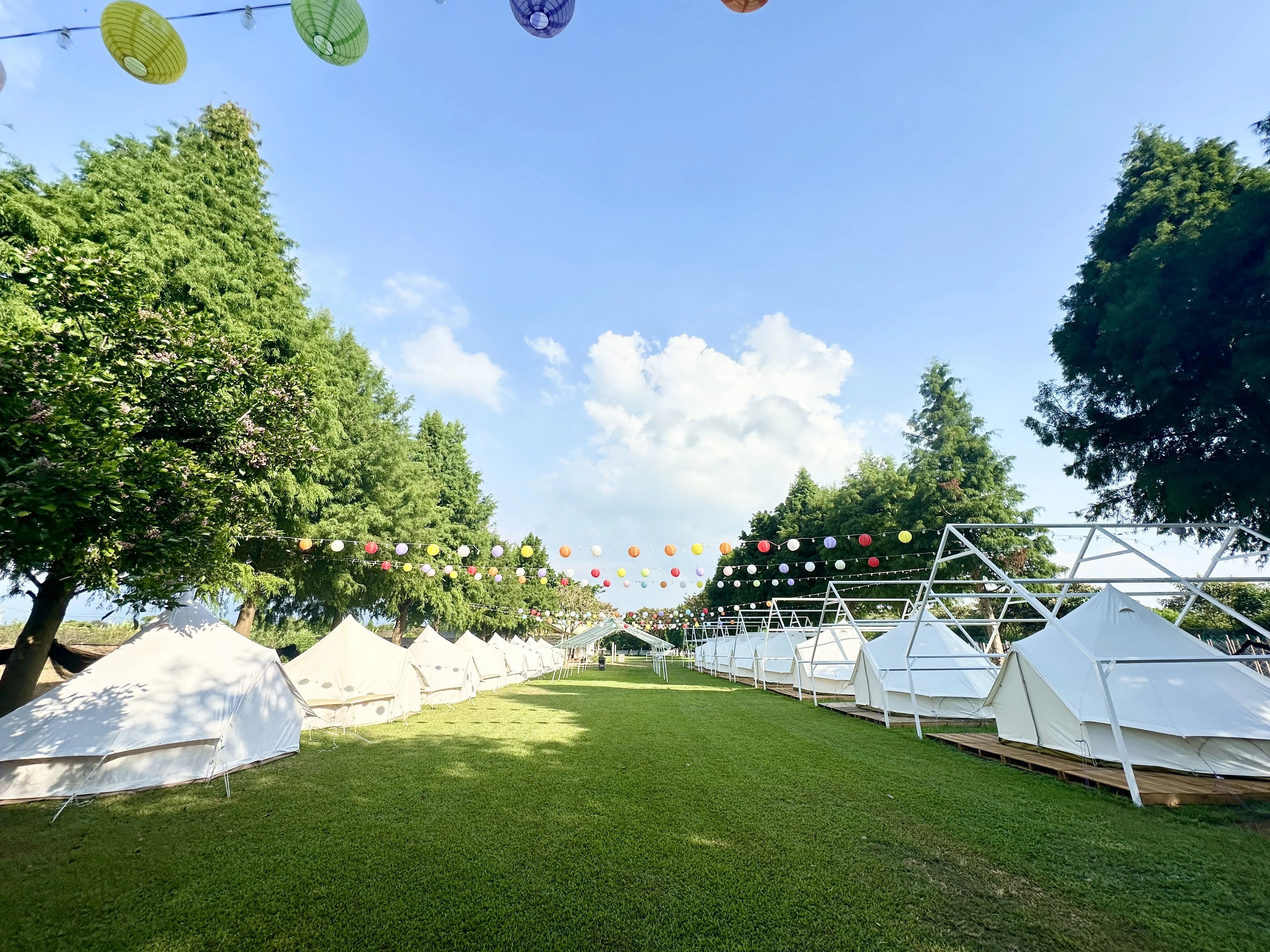 【 夜宿免搭帳服務 】1+1