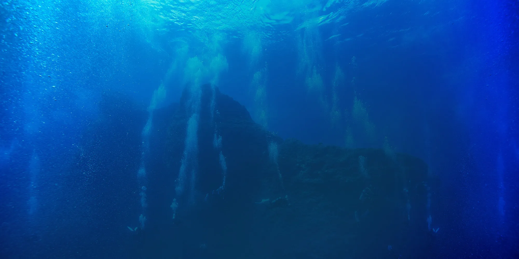 烏托邦水族蝦坊-水族寵物店,高雄水族寵物店,前金區水族寵物店,水晶蝦專賣,高雄水晶蝦專賣,前金區水晶蝦專賣,鹽埕區水晶蝦專賣