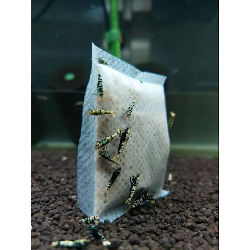 水晶蝦微生物滷包 增生絨毛藻 提高微生物量 客製化