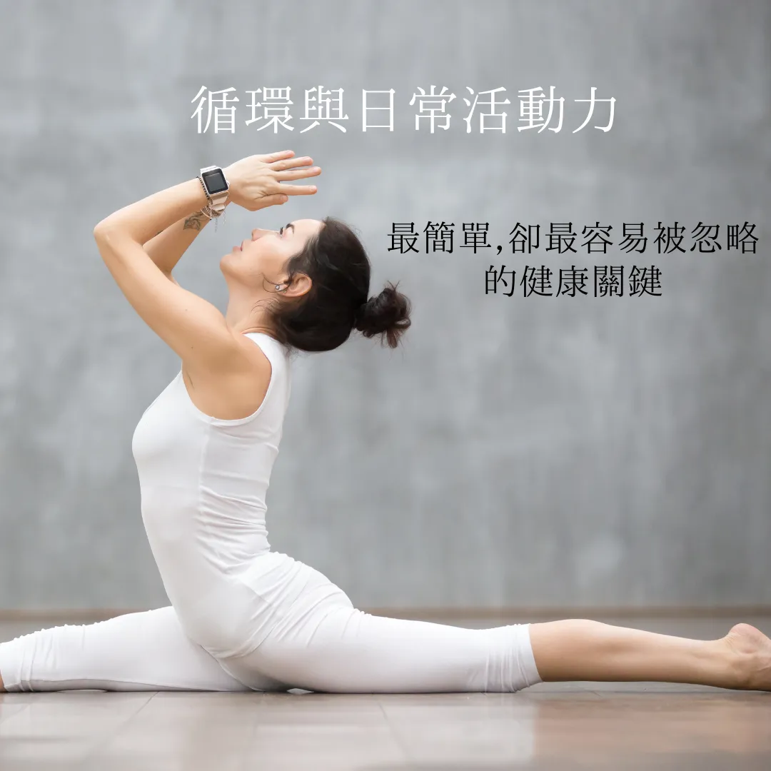 循環與日常活動力：最簡單，卻最容易被忽略的健康關鍵