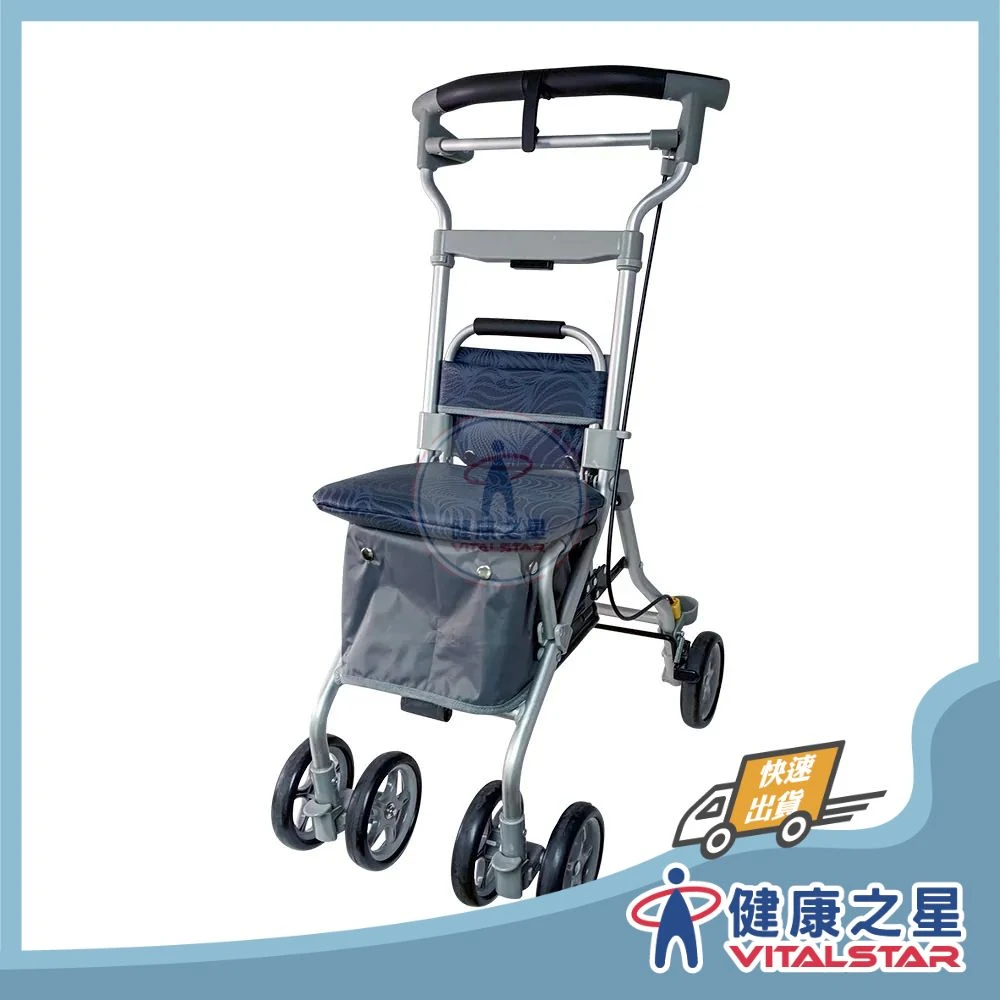 【Lelan】台灣製 Freedom 105 健康散步車