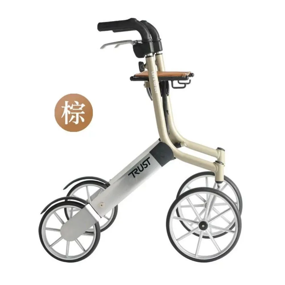 【TRUST CARE】Let's Go Out 戶外型散步推車(含安全背帶+購物袋) 黑色