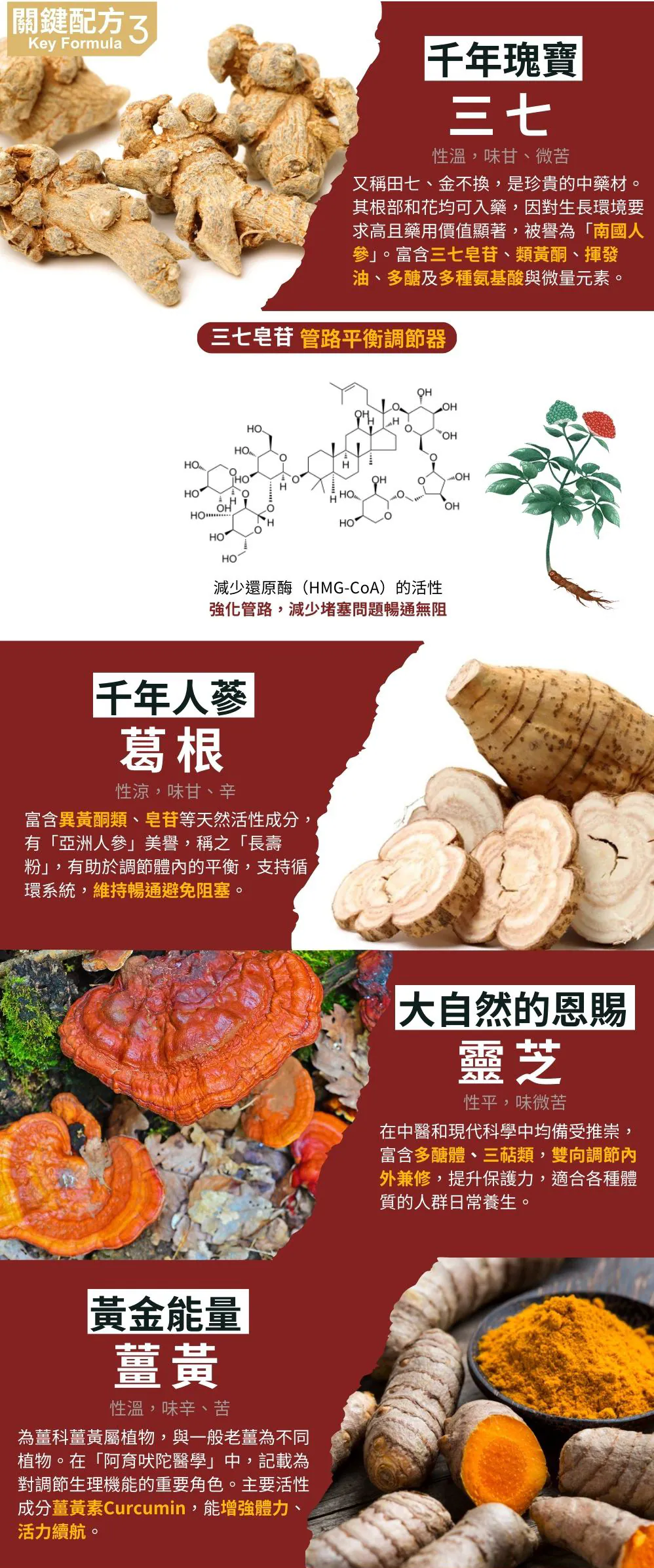 丹參紅麴60粒 促進循環首選