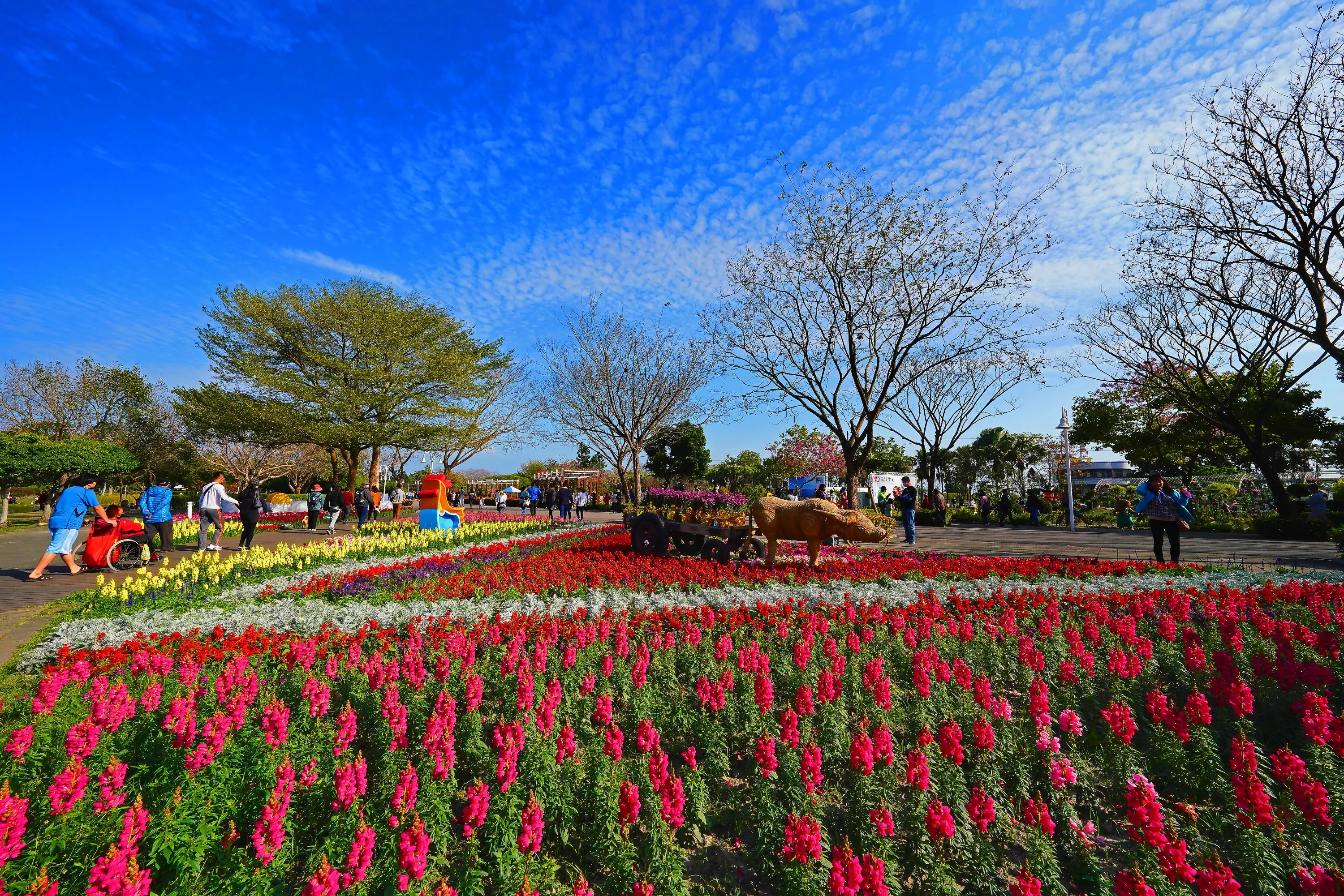 【溪州公園計程車推薦】24H專線0968-163-147(大南彰化金鑽瘋計程車)-|溪州包車旅遊|溪州代駕服務|溪州高鐵接送|溪州接電服務|溪州計程車行|溪州醫院接送|溪州長途接送|溪州道路救援|