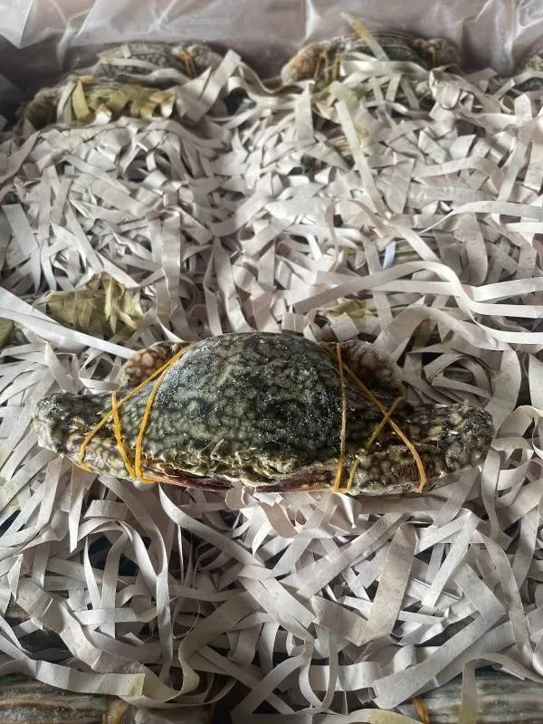 海鮮豪華小資族，貨源直供新鮮