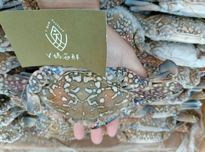 海鮮該怎麼保存才新鮮？冷凍能放多久？