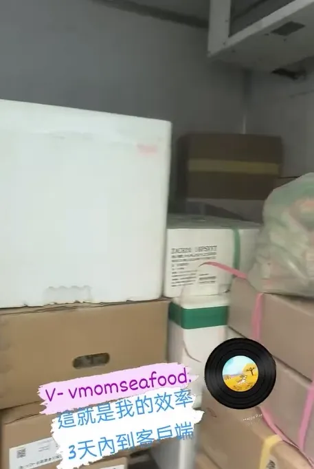 這就是我的效率 3天內到客戶端