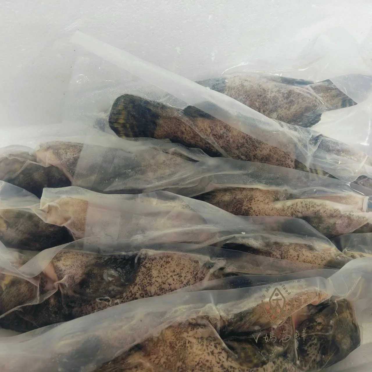 龍虎石斑魚(三去)