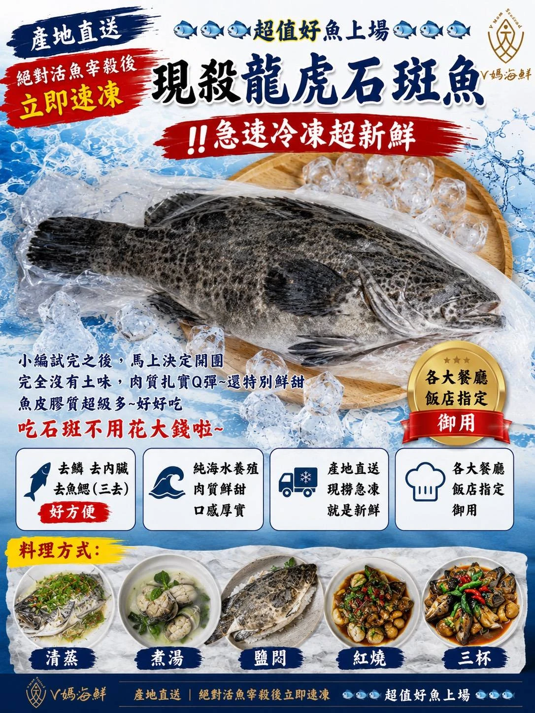 現殺龍虎石斑魚