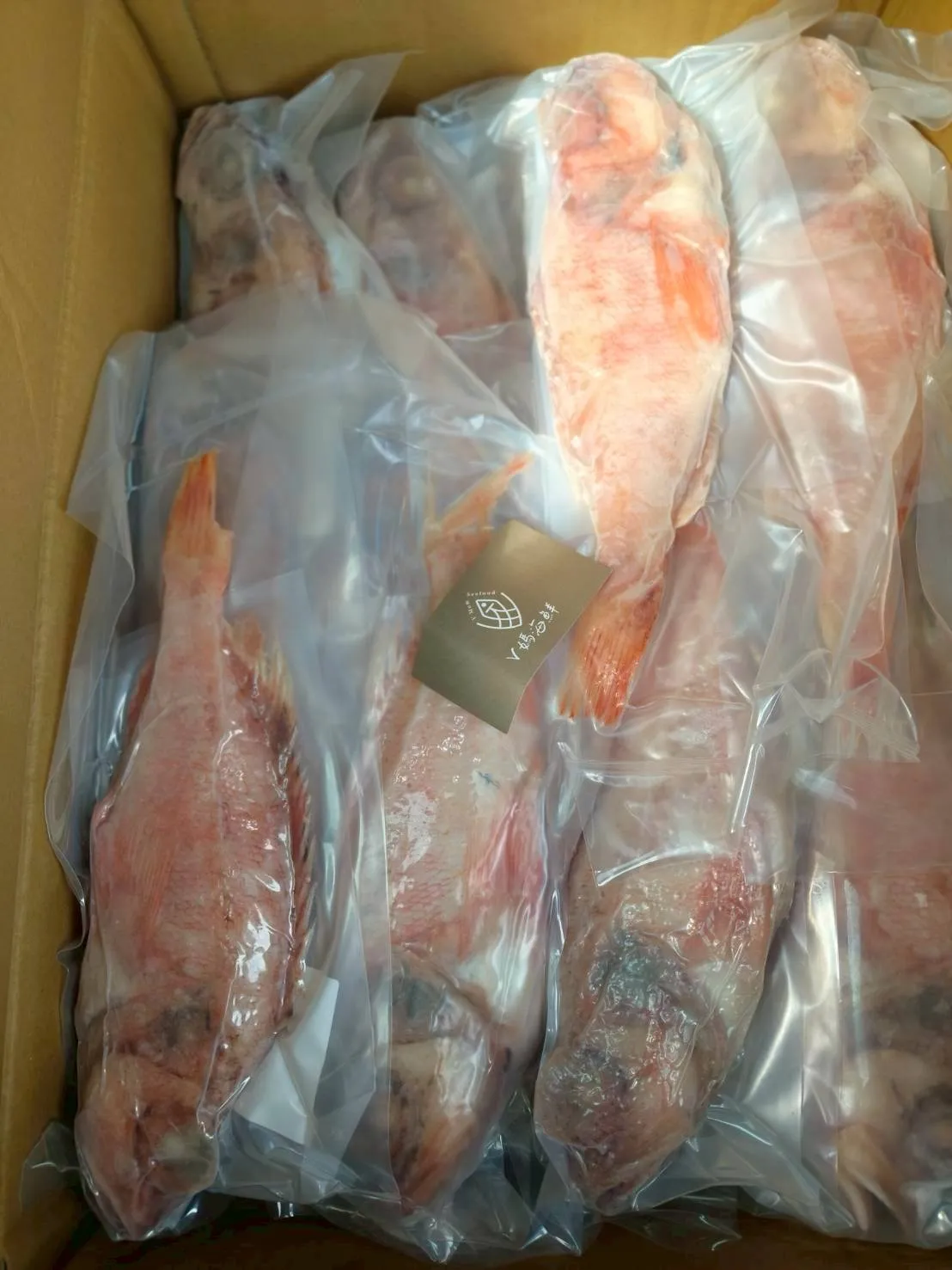 三去深海野生海鱸魚