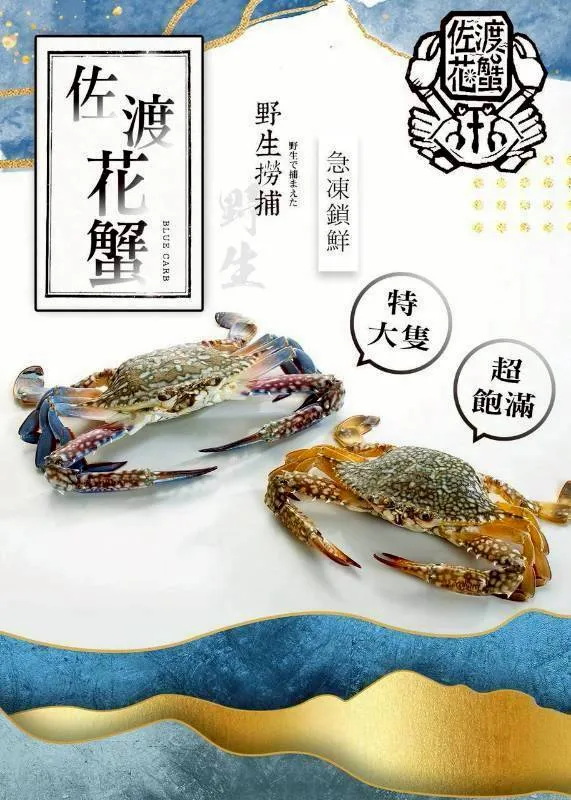 斯里蘭卡花蟹（母）