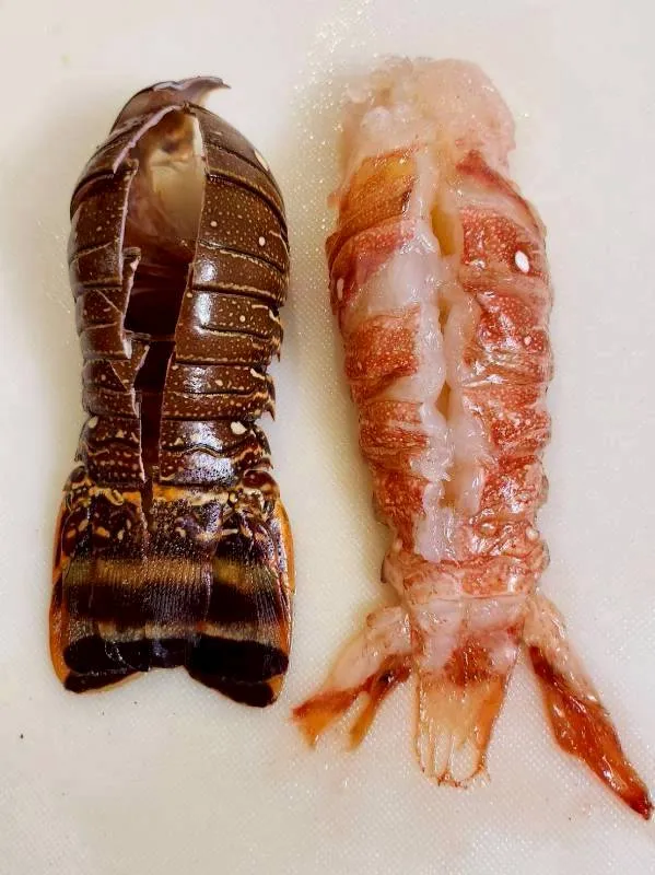 級巴西生凍龍蝦尾