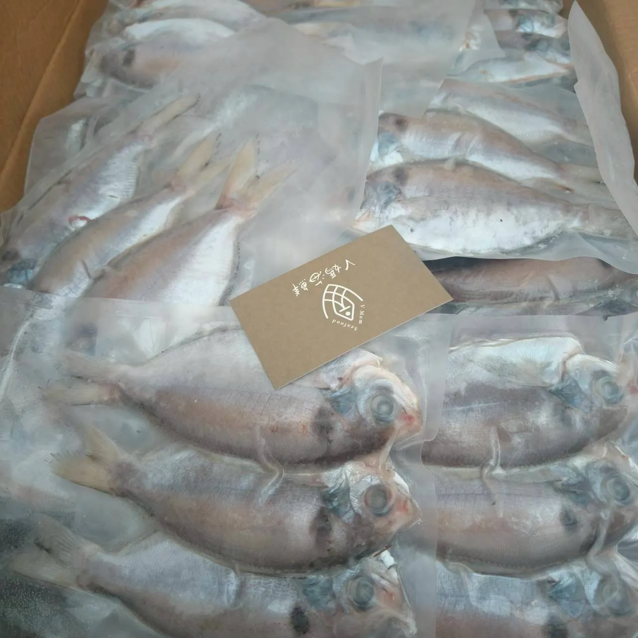 澎湖肉魚真空3尾裝