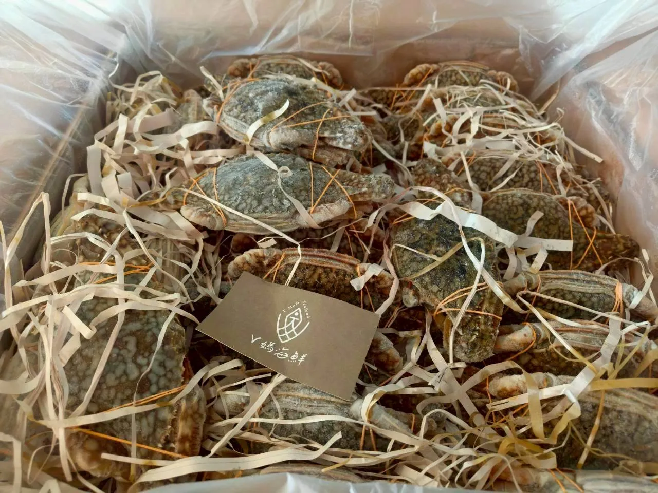 斯里蘭卡花蟹（母）