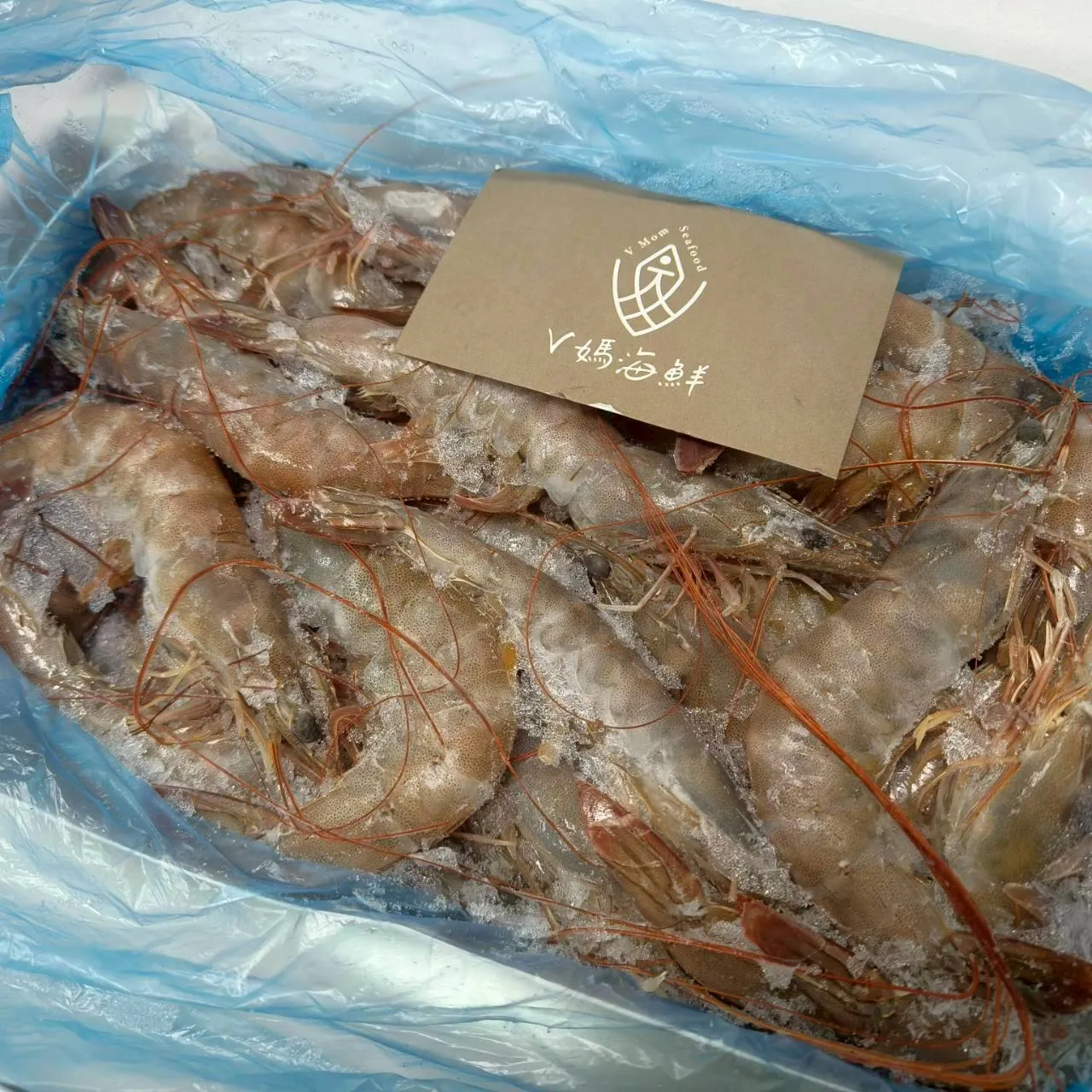 40/50活凍白蝦