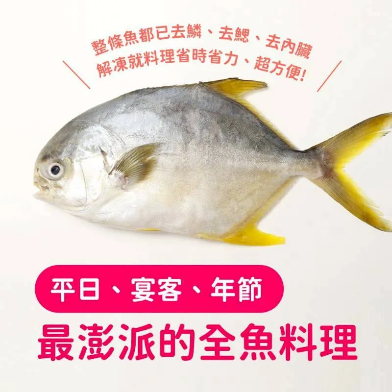 無毒-鮮嫩 頂級SGS黃金鯧魚(二去)大隻