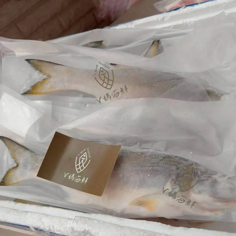 無毒-肉質細緻特選 通過SGS午仔魚