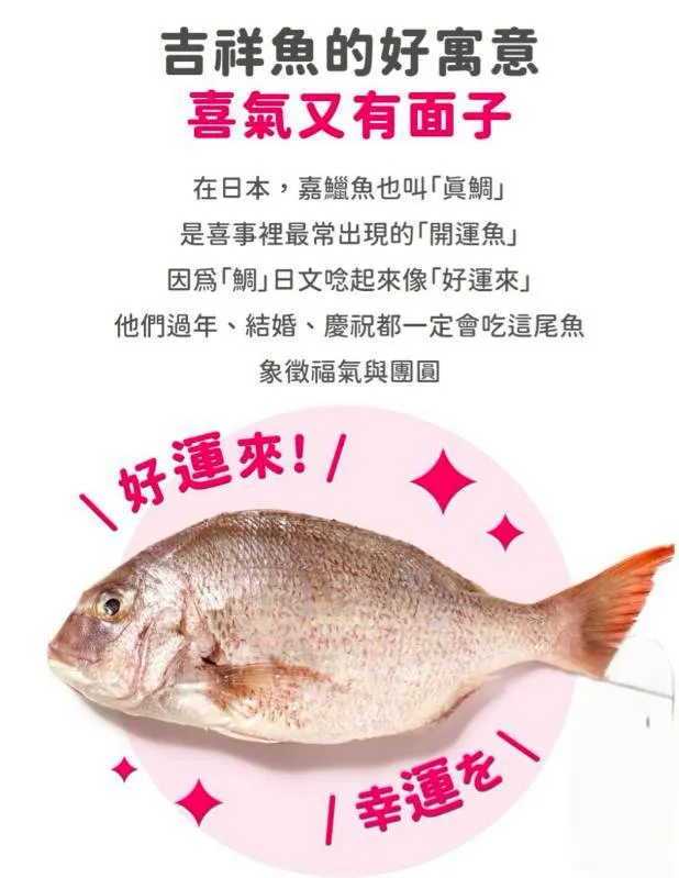 無毒-開運真鯛嘉鱲魚