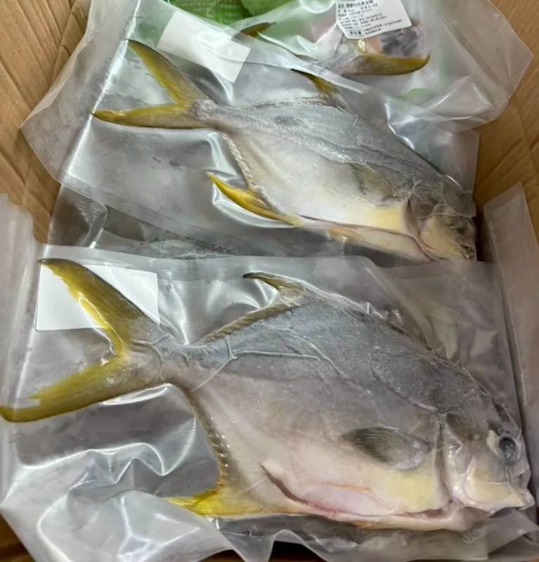 無毒-鮮嫩 頂級SGS黃金鯧魚(二去)大隻
