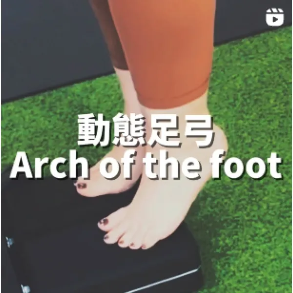 動態足弓