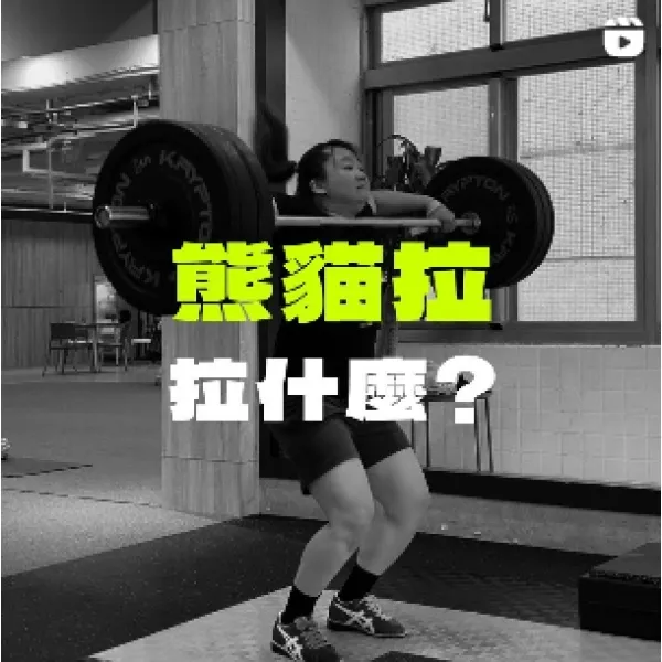 熊貓拉拉什麼？