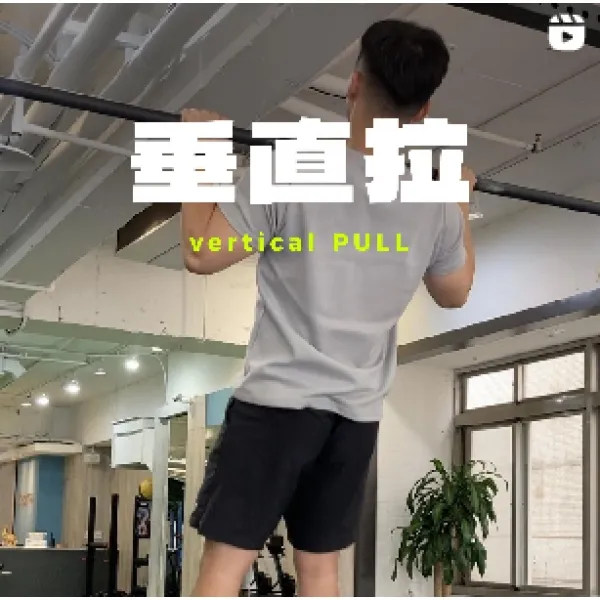 垂直拉