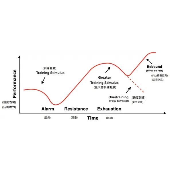 一般適應症候群