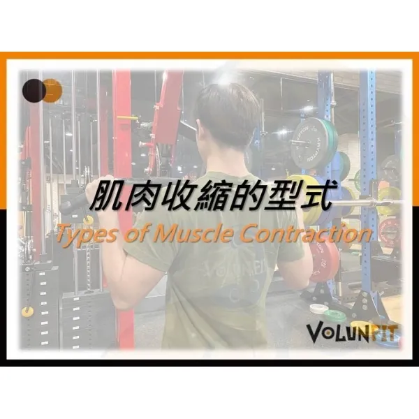 肌肉收縮的型式