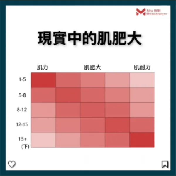 眾說紛紜的肌肥大