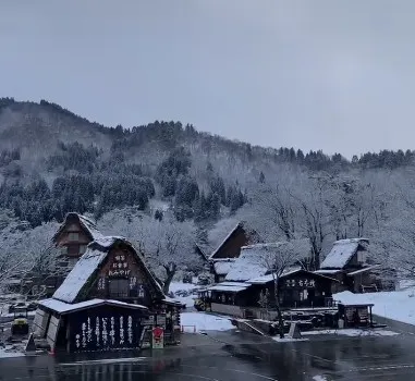 凌晨4點想看雪!!京都包車/京都包車旅遊/京都包車旅遊推薦