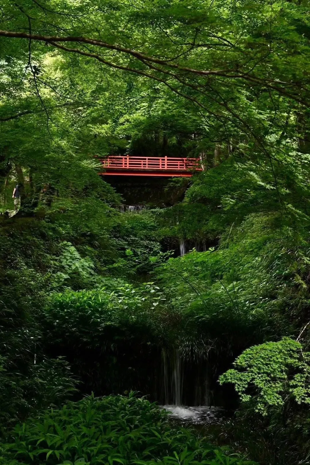 京都夏日秘境一日遊｜涼爽療癒的避暑行程公開