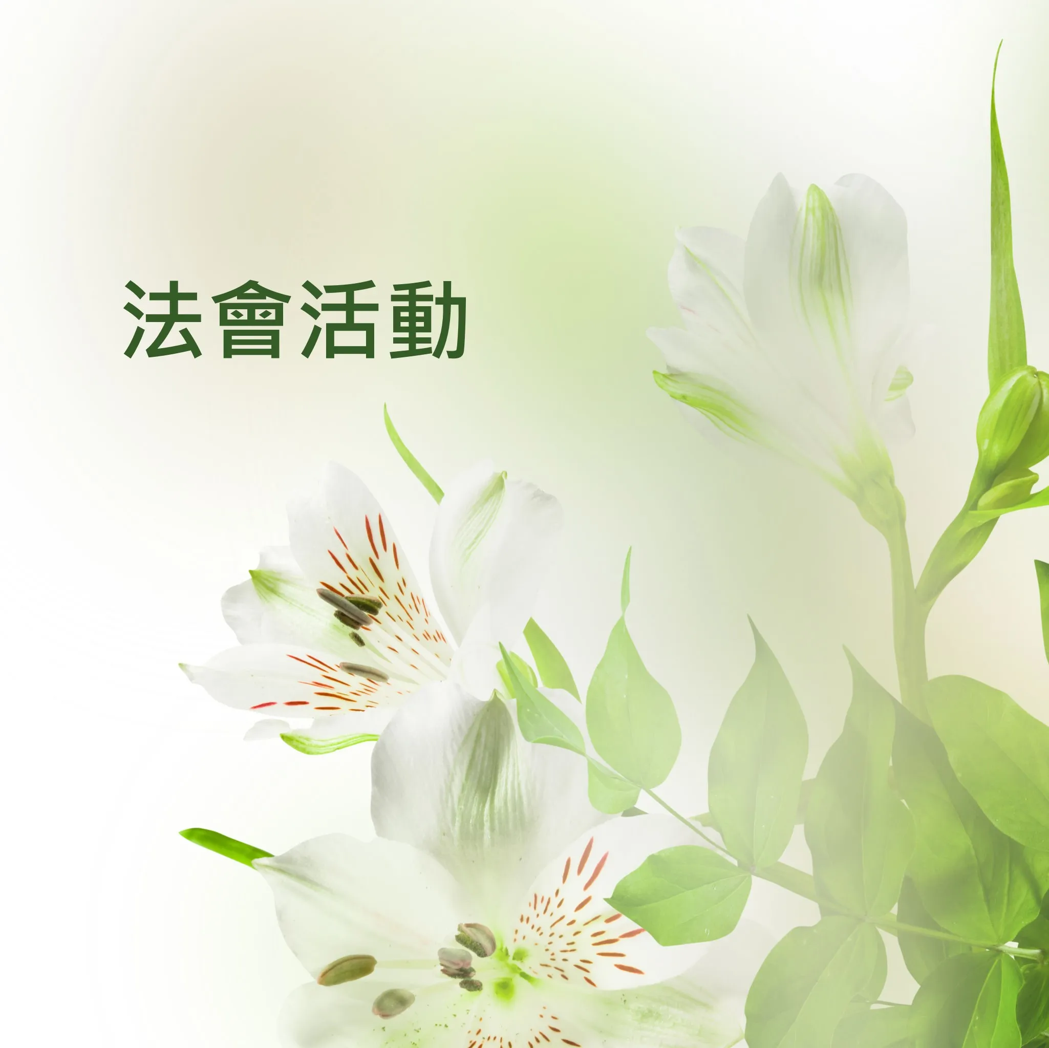 【圓滿點燈・三時繫念】金剛護持會第十屆春季護國息災萬人念佛大法會