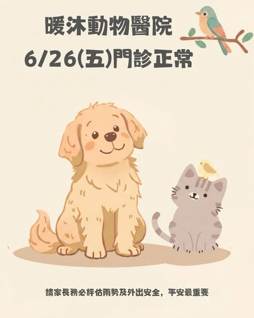 【6/26（五）暖沐正常門診公告】