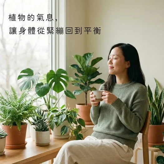 森林浴的科學：綠地時間，讓身體回到平衡節奏