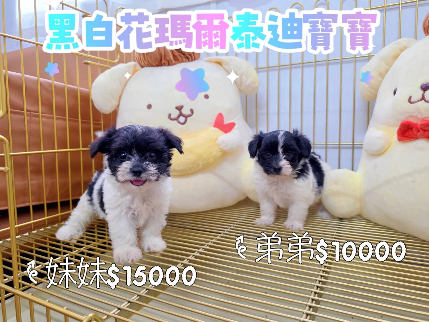 特價$優惠區