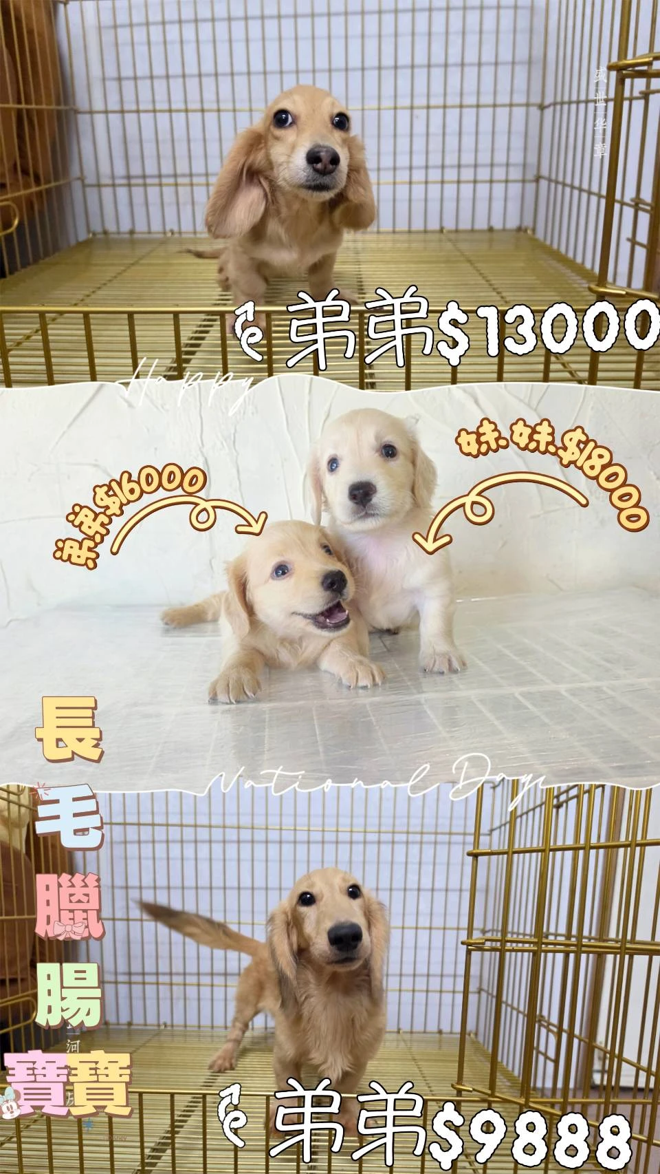 特價$優惠區