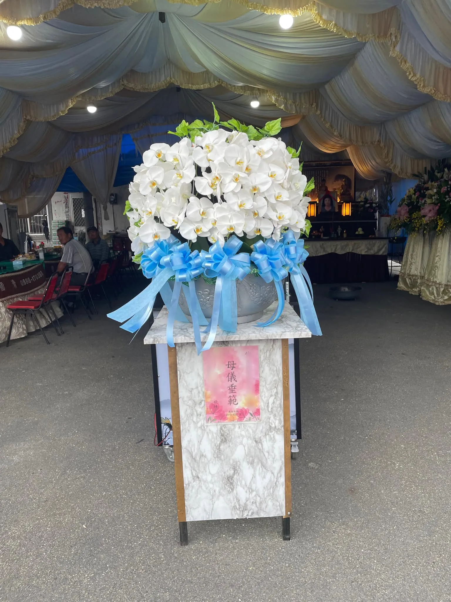 蘭花